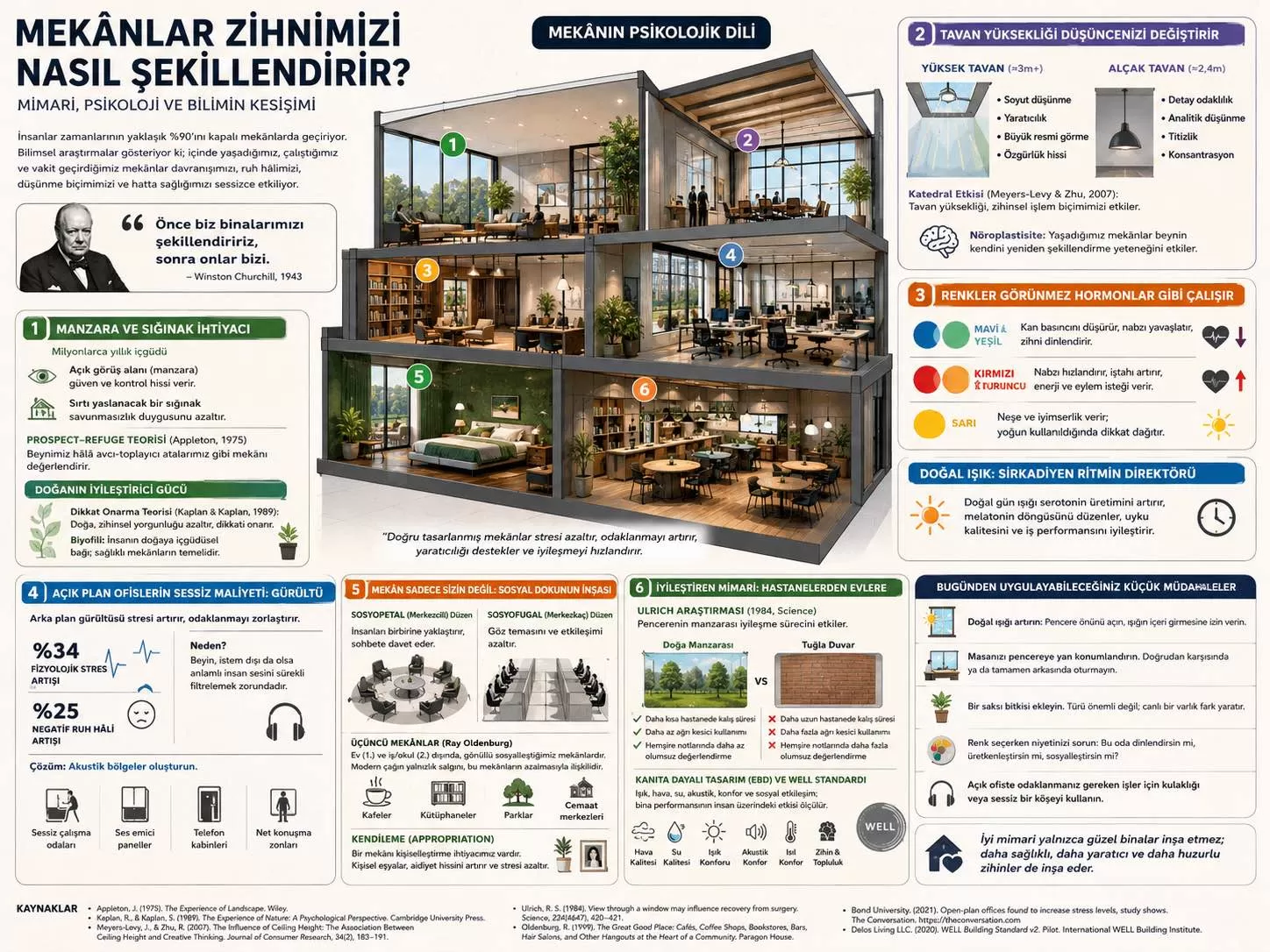 Yaşadığımız Alanlar Zihnimizi Nasıl Şekillendiriyor?